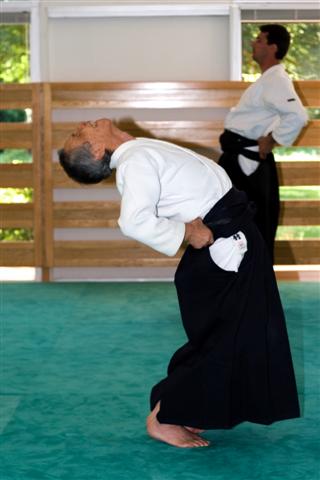 aikido